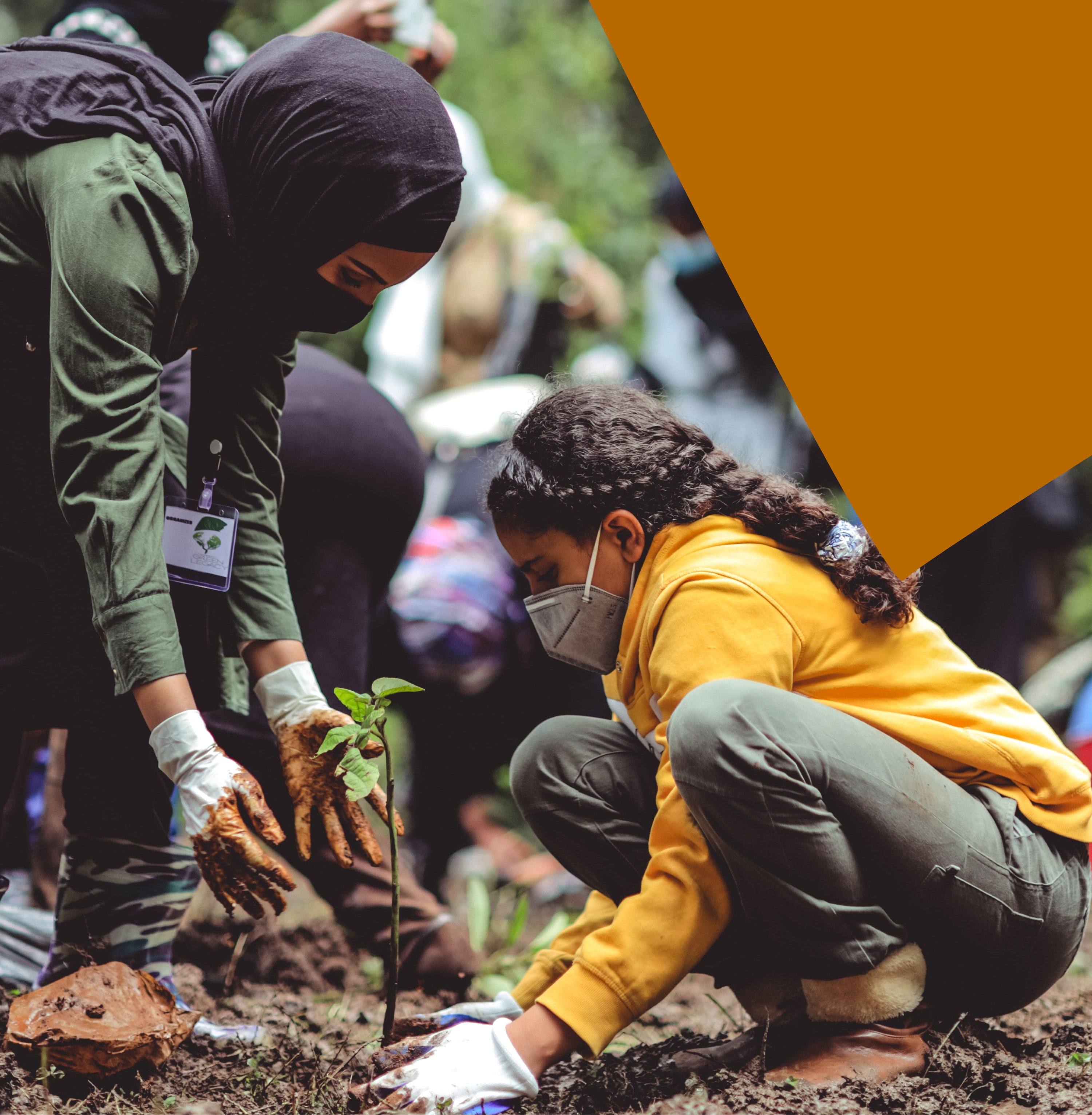 Women and child planting a tree