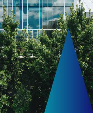 Modern glass office with tree and tree's reflection.